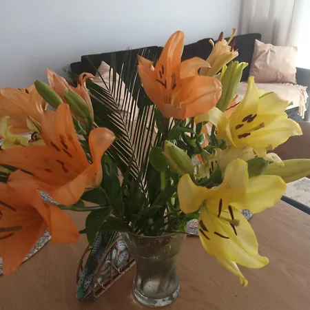 Lilla 2 * Jelení Hora