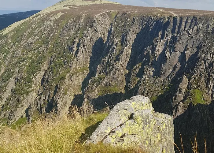 Lilla 2 ילנייה גורה