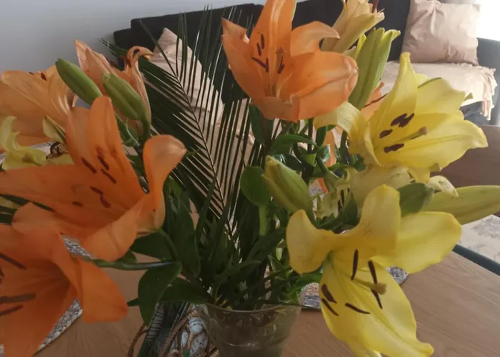 Lilla 2 * Jelenia Gora